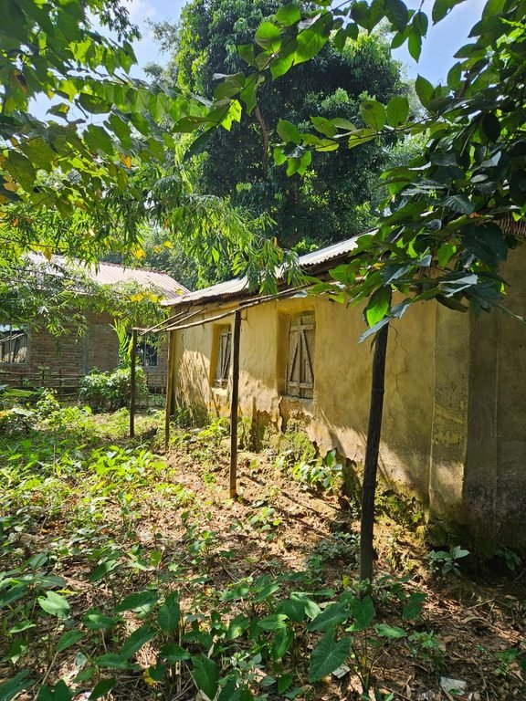 Mitraja Foundation community activity