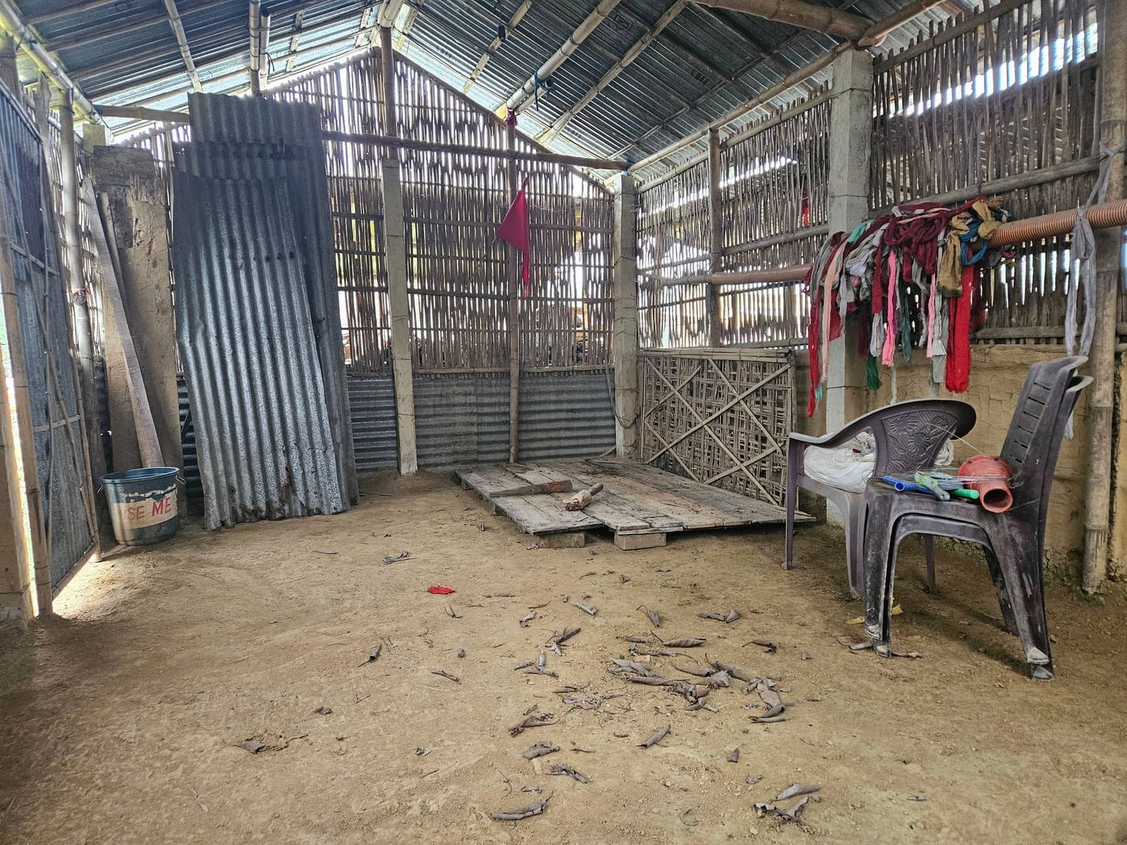Inside the bamboo structure, before it became Apollo Library